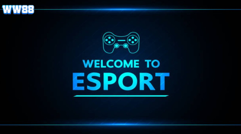 Tổng hợp sản phẩm cá cược Esports WW88